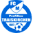 teamLogo