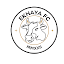 teamLogo